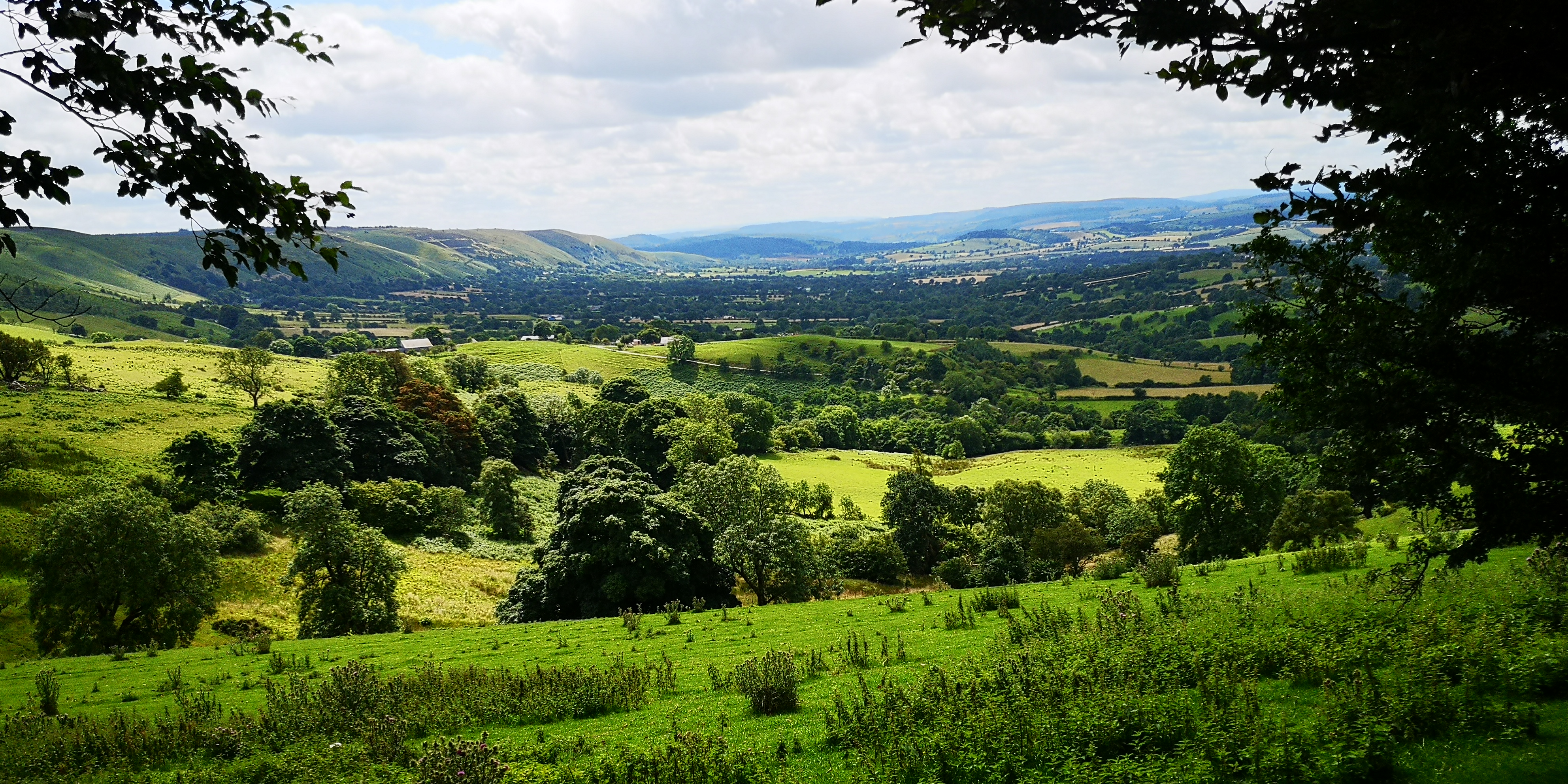 Stretton5