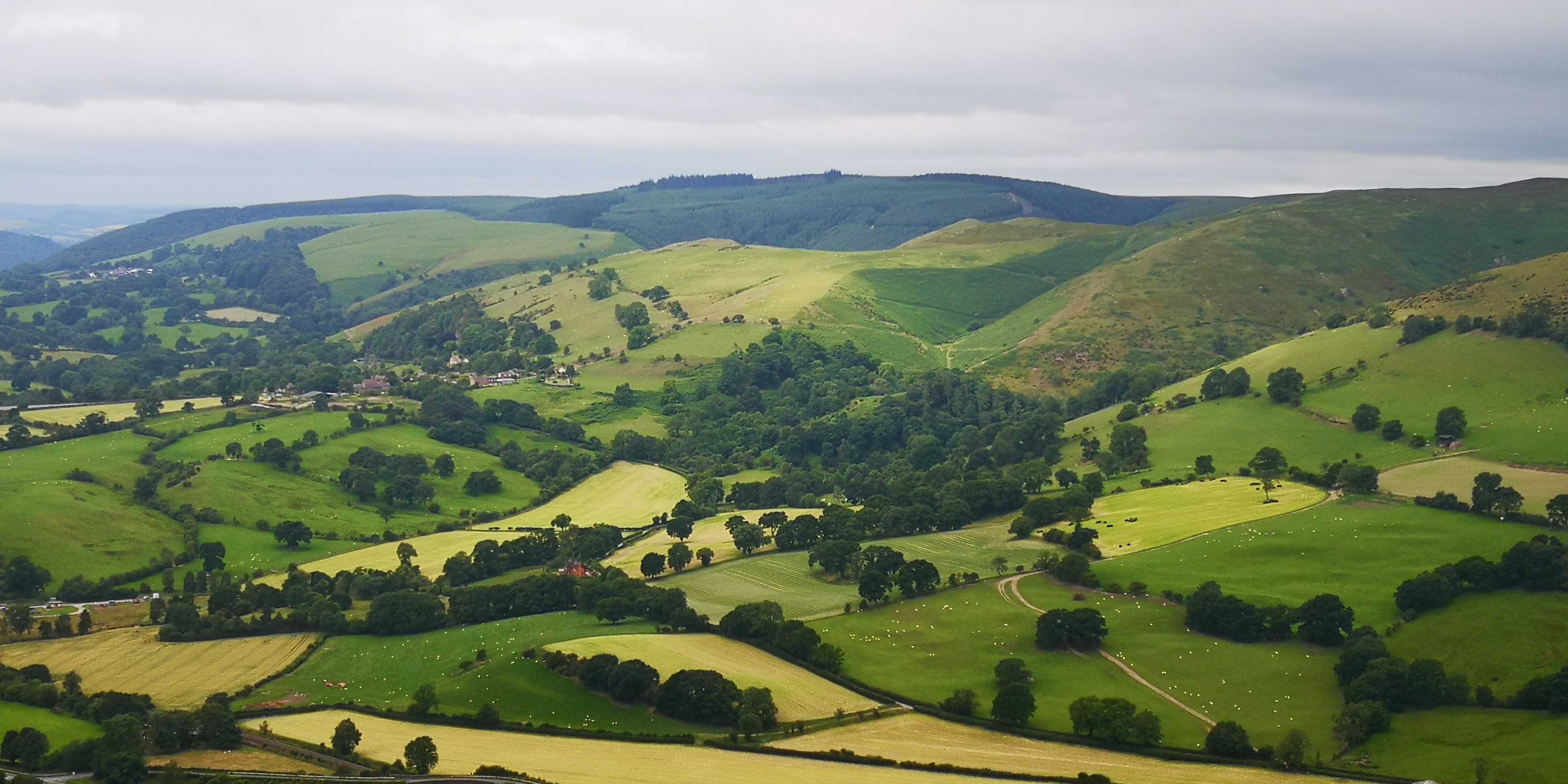 Stretton6