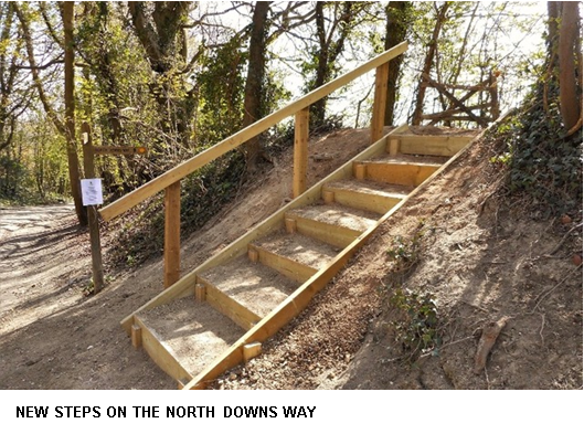 NDWSteps